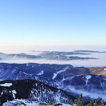 Feriendorf Am Feuerkogel, Ebensee Εξωτερικό φωτογραφία